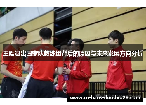 王皓退出国家队教练组背后的原因与未来发展方向分析
