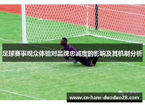足球赛事观众体验对品牌忠诚度的影响及其机制分析