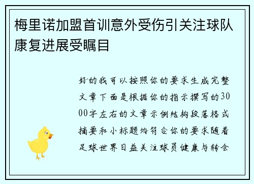 梅里诺加盟首训意外受伤引关注球队康复进展受瞩目